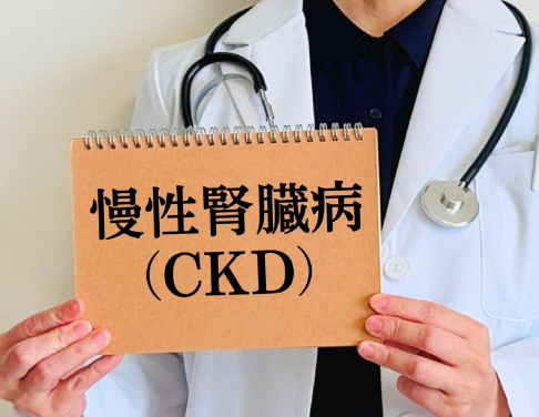 慢性腎臓病（CKD）